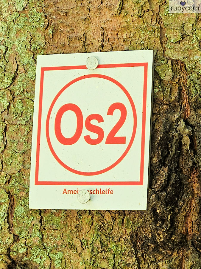 Rundweg Ameisenschleife / DE-Osburg Rheinland-Pfalz