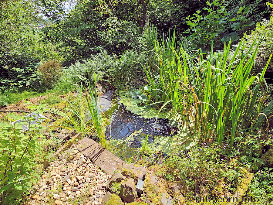 Gartenteich mit Springbrunnen