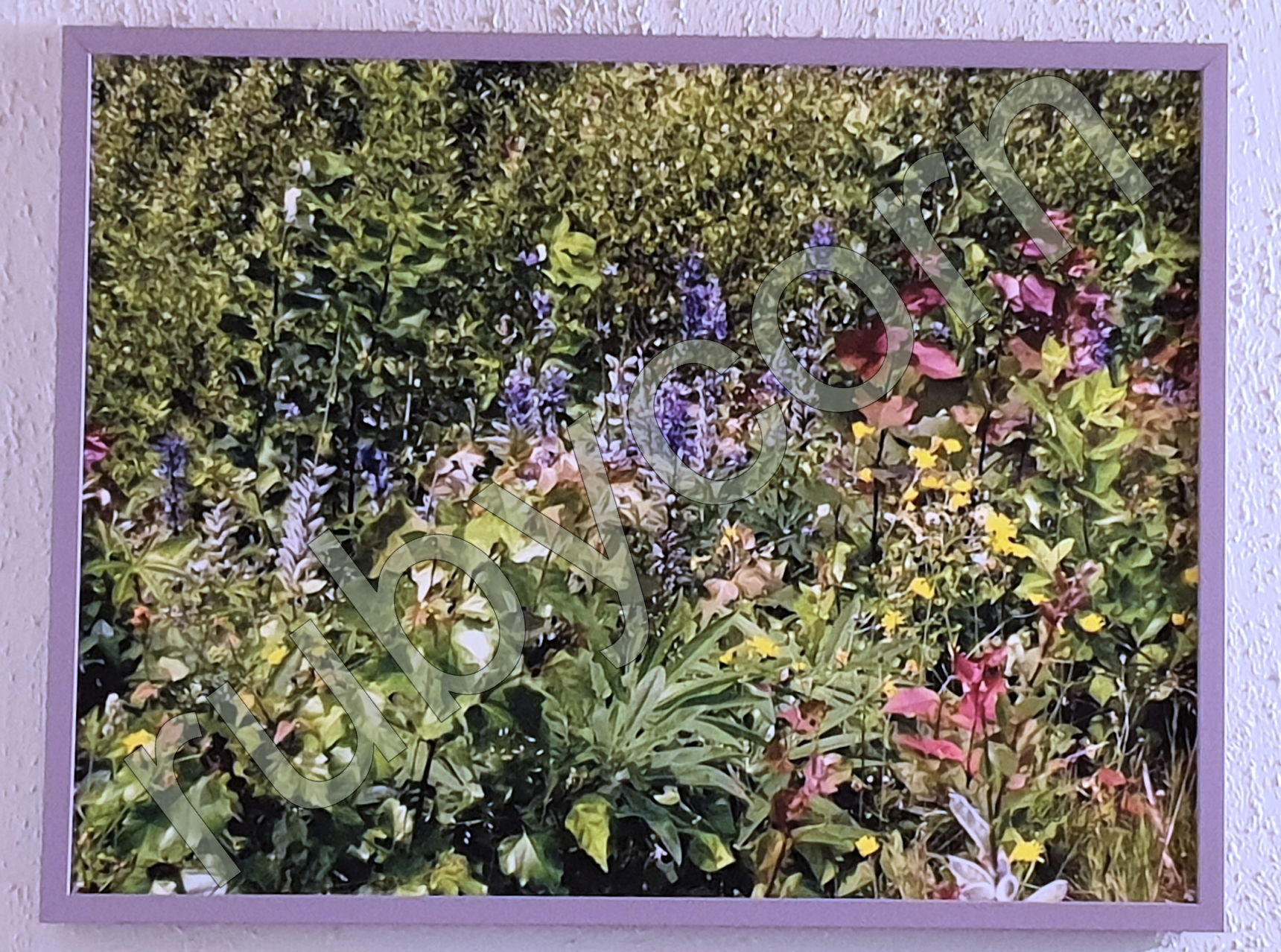 Wandbild Blumenwiese, Vielfalt, rubycorn ArtGallery