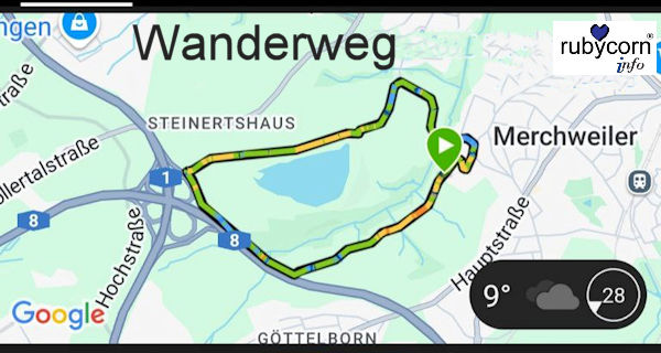 Auf neuen Pfaden unterwegs: Rundweg / Habichtsweiden in der Saarengeti, DE-Merchweiler Saarland