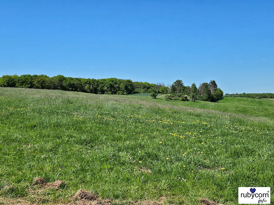 Foto von Wiesenlandschaft auf dem Wanderweg Bärenbachweg Uchtelfangen - rubycorn info