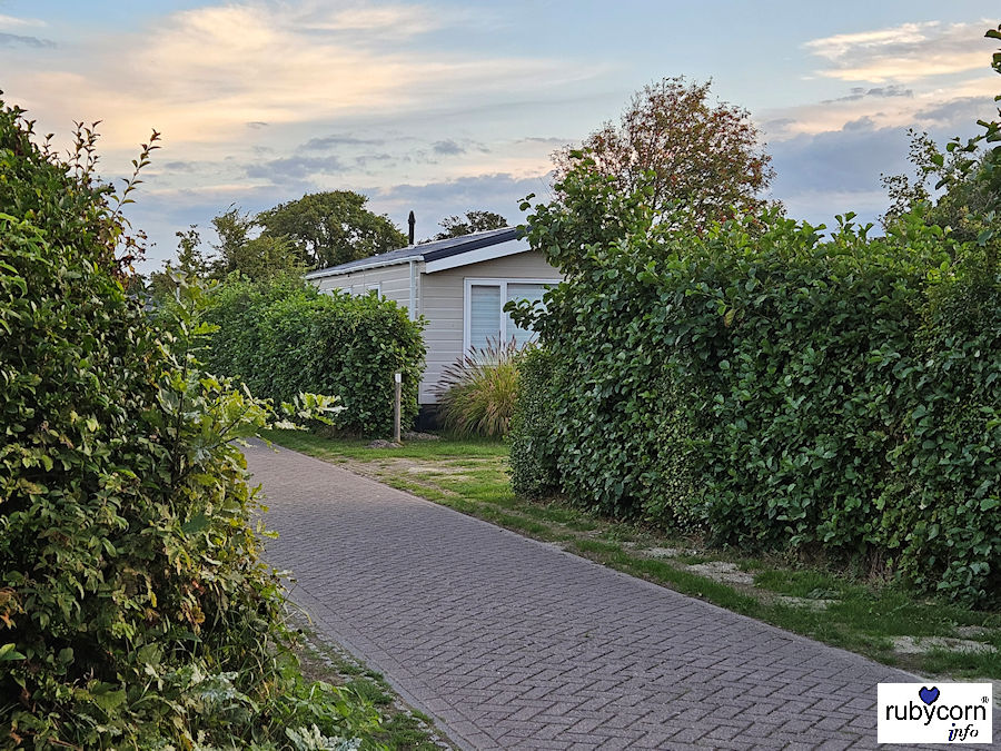 Campigplatz Ginsterveld - Zeeland Niederlande
