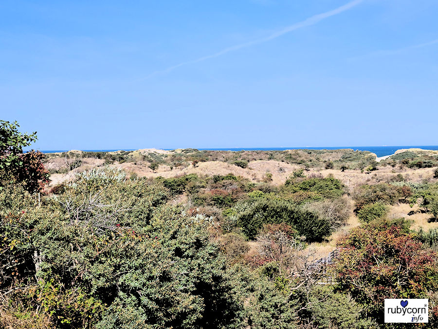 Foto von Naturlandschaft mit Meer im Hintergrund - Nieuw-Haamstede Zeeland Niederlande