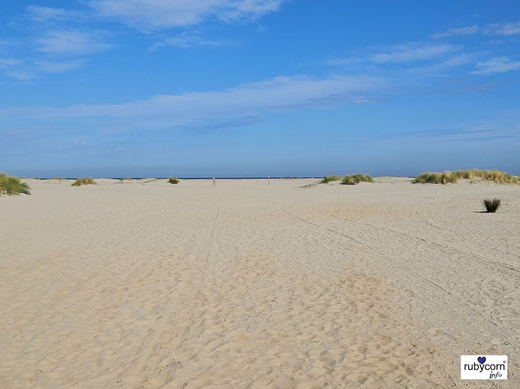 Weitläufiger Strand bei Nieuw-Hamstede, Zeeland Niederlande